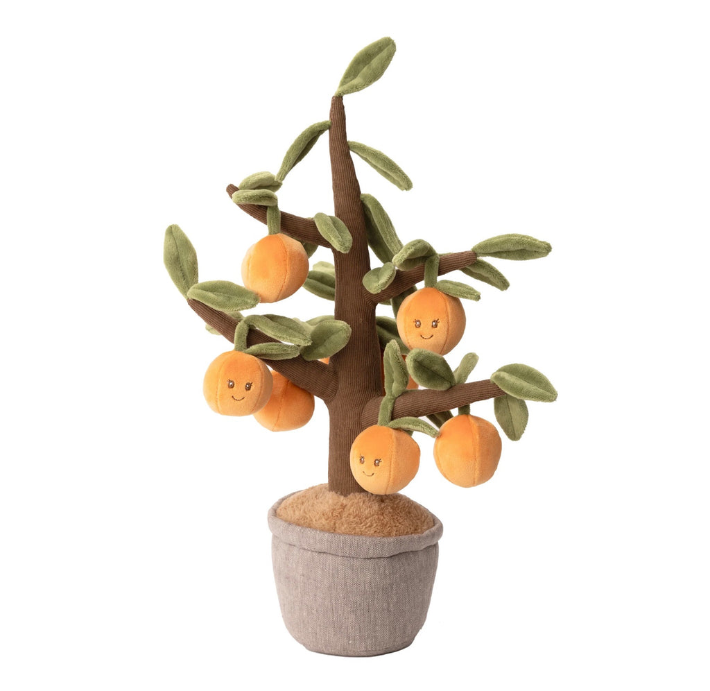 bukowski orange tree