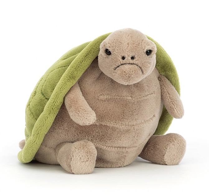 Timmy Turtle