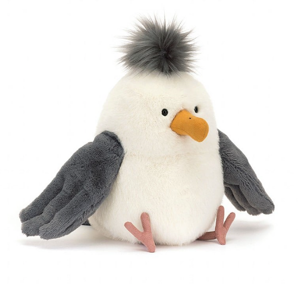 Chip Seagull