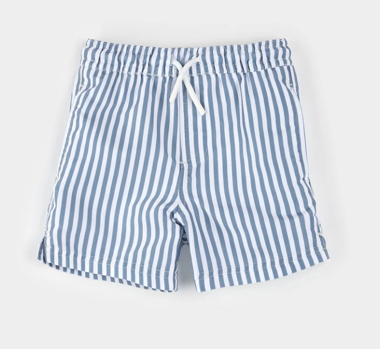 Blue Striped Swim Trunks