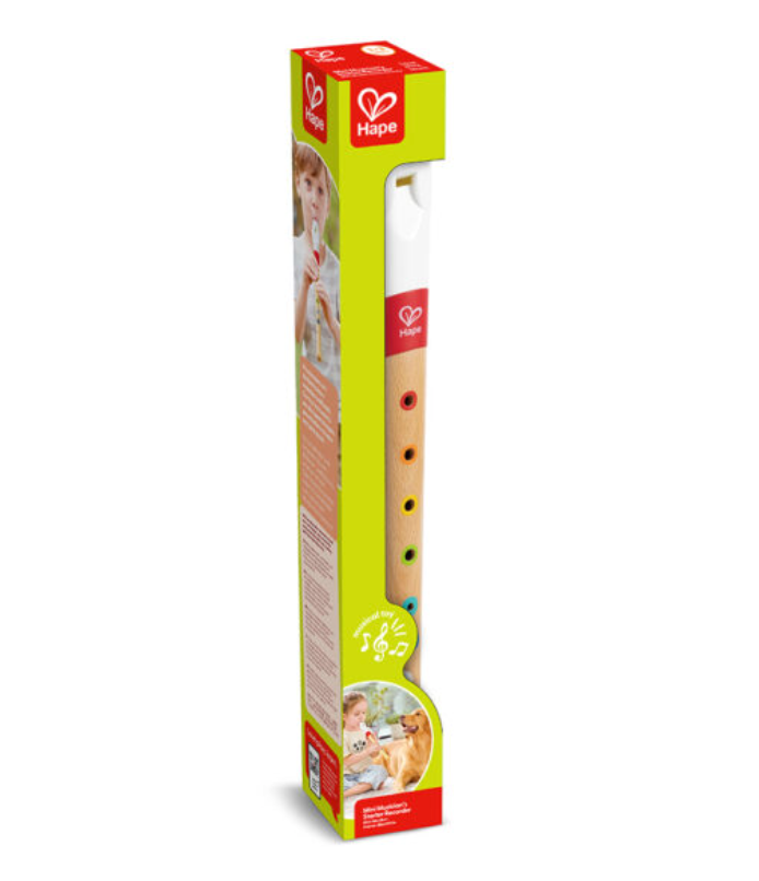 MINI MUSICIAN'S STARTER RECORDER