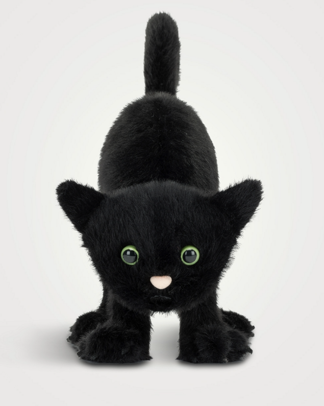 Spookipaws Cat Plush Toy