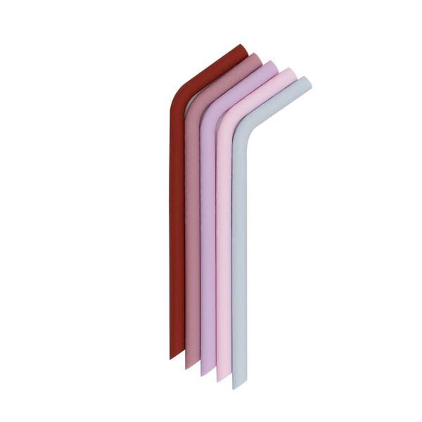 We Might Be Tiny - Bendie Straws (Set of 5 with cleaning brush) - LittleLeafBaby