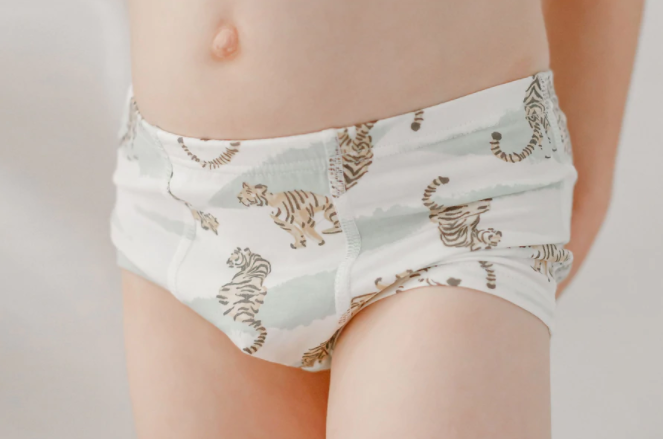 Bamboo Boys Boxer Briefs Underwear (2 Pack) - King of the Jungle –  LittleLeafBaby