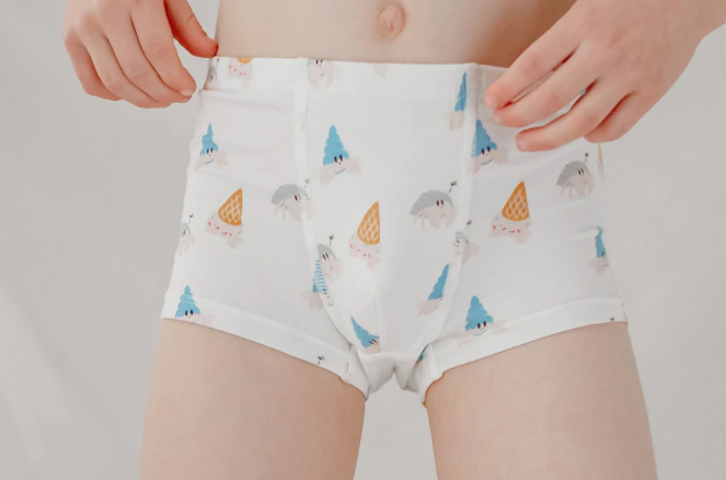Bamboo Boys Boxer Briefs Underwear (2 Pack) - Hermit Crab – LittleLeafBaby