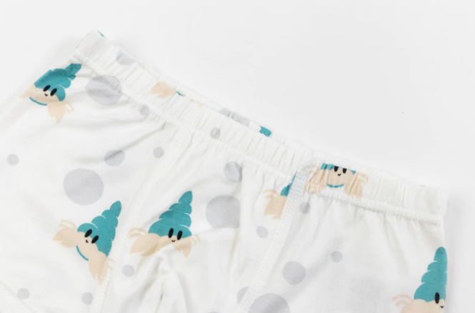 Bamboo Boys Boxer Briefs Underwear (2 Pack) - Hermit Crab – LittleLeafBaby