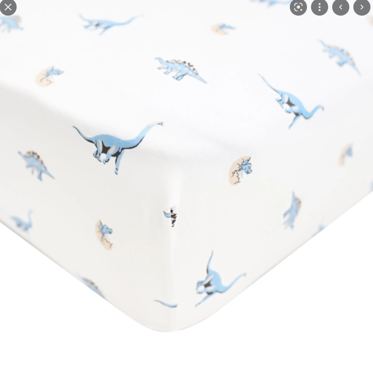PRINTED twin SHEET IN JURASSIC