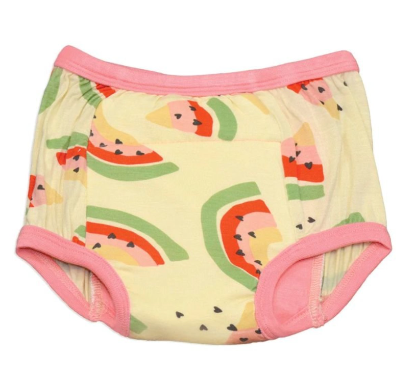 Silkberry Baby Bamboo Underwear BRIEFS – Little Earth Children's Store