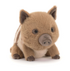 Swinley Boar